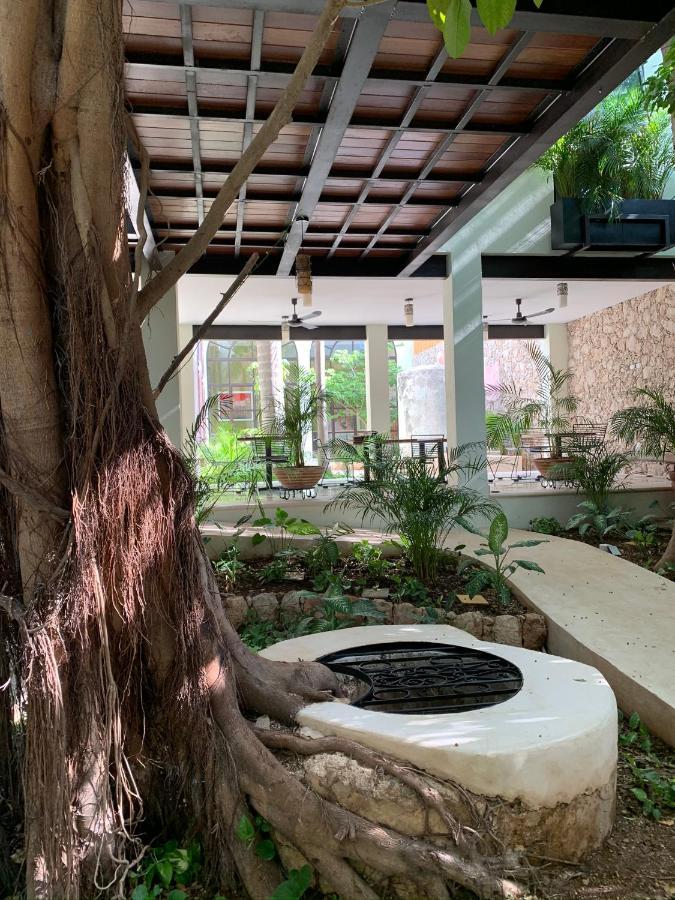 Treehouse Boutique Hotel, An Adults Only Boutique Hotel Merida Exterior photo